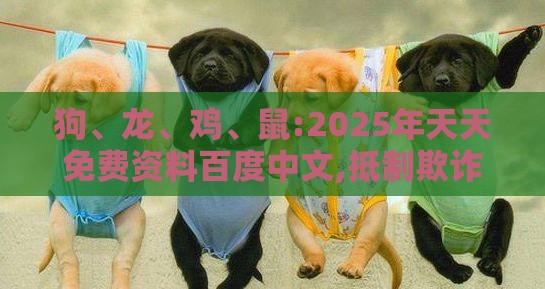 狗、龙、鸡、鼠:2025年天天免费资料百度中文,抵制欺诈的假广告圈-完整释义、专家解析解释与落实​