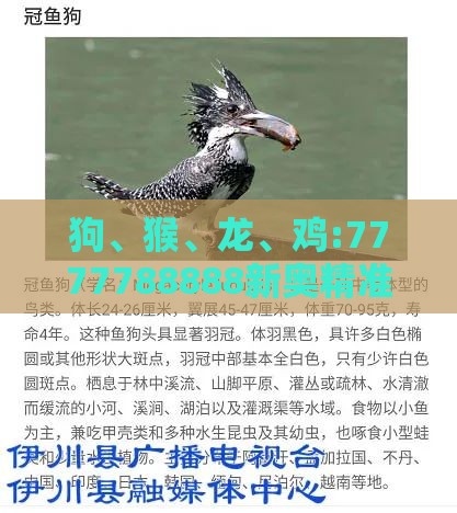 狗、猴、龙、鸡:7777788888新奥精准新传真与新澳今晚一肖一特预测和,生动解答、解释与落实-留心欺诈性营销