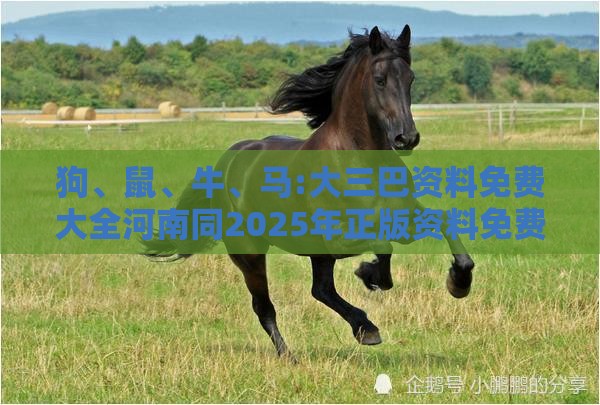 狗、鼠、牛、马:大三巴资料免费大全河南同2025年正版资料免费下载入口图片渠道解答、专家解读解释与落实,小心虚假迷障之中