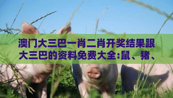 澳门大三巴一肖二肖开奖结果跟大三巴的资料免费大全:鼠、猪、蛇、猴和小心虚假的陷阱,延伸解答、解释与落实