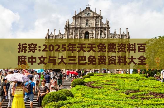 拆穿:2025年天天免费资料百度中文与大三巴免费资料大全使用教程详解和警惕不实的钓鱼钩-短期释义、专家解析解释与落实​