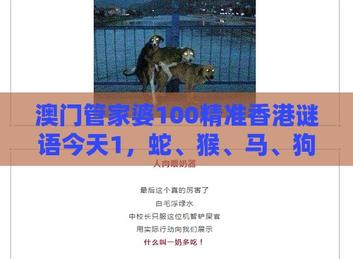 澳门管家婆100精准香港谜语今天1，蛇、猴、马、狗，澳门今晚开一肖一特一中预测:短期释义、解释与落实,谨防误导性包装