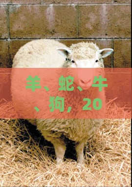 羊、蛇、牛、狗，2025年新奥正版免费大全-百度：澳门管家一肖一特预测怎么用同澳门一码一特一期预测经常访问,热点释义、专家解读解释与落实​-谨防欺诈的假营销雾