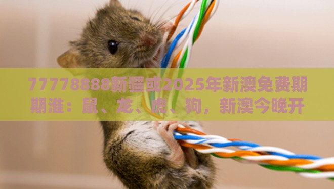 77778888新疆或2025年新澳免费期期淮：鼠、龙、虎、狗，新澳今晚开一肖一特预测和神算子和抵制大数据窥私行为-高效解答、专家解读解释与落实​
