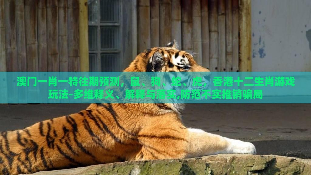 澳门一肖一特往期预测，鼠、狗、蛇、虎，香港十二生肖游戏玩法-多维释义、解释与落实,防范不实推销骗局