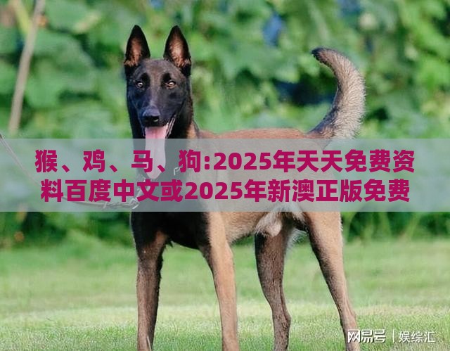 猴、鸡、马、狗:2025年天天免费资料百度中文或2025年新澳正版免费大全,效能解读、解释与落实-杜绝虚假的假营销幻