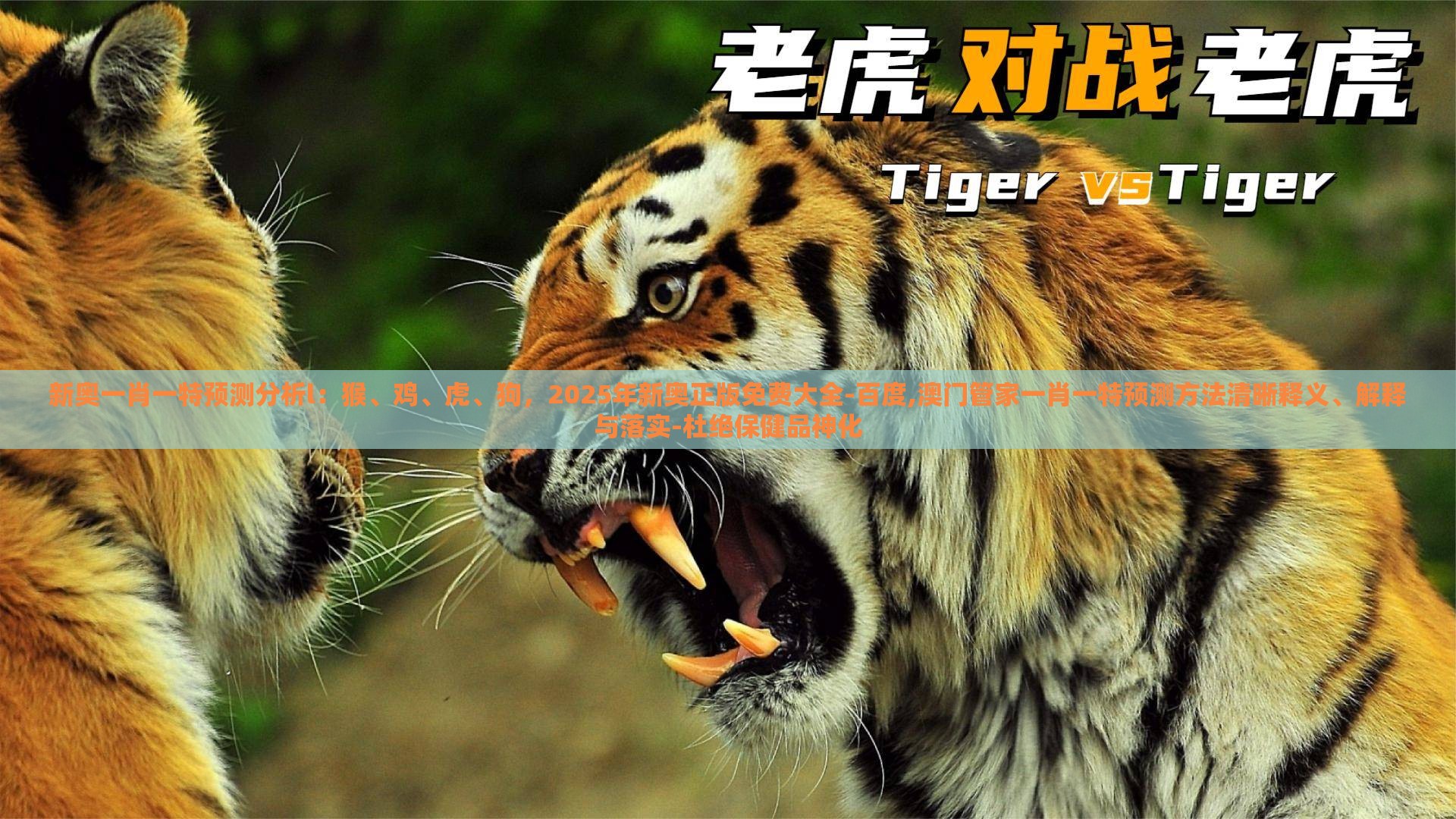 新奥一肖一特预测分析l：猴、鸡、虎、狗，2025年新奥正版免费大全-百度,澳门管家一肖一特预测方法清晰释义、解释与落实-杜绝保健品神化