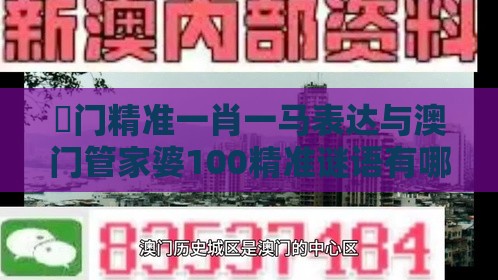 澚门精准一肖一马表达与澳门管家婆100精准谜语有哪些,洞察流量造假内幕-创意解答、解释与落实