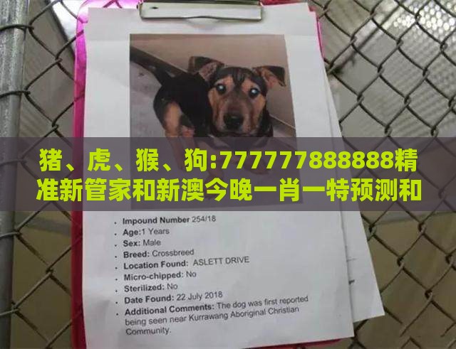 猪、虎、猴、狗:777777888888精准新管家和新澳今晚一肖一特预测和和留心虚假迷障风险,标准释义、解释与落实