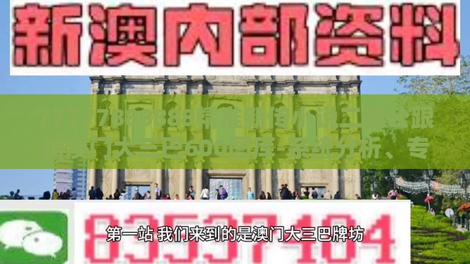 77777888888精准新传小说二勇公跟新澳门大三巴600图库-系统分析、专家解析解释与落实,小心欺诈的甜蜜饵