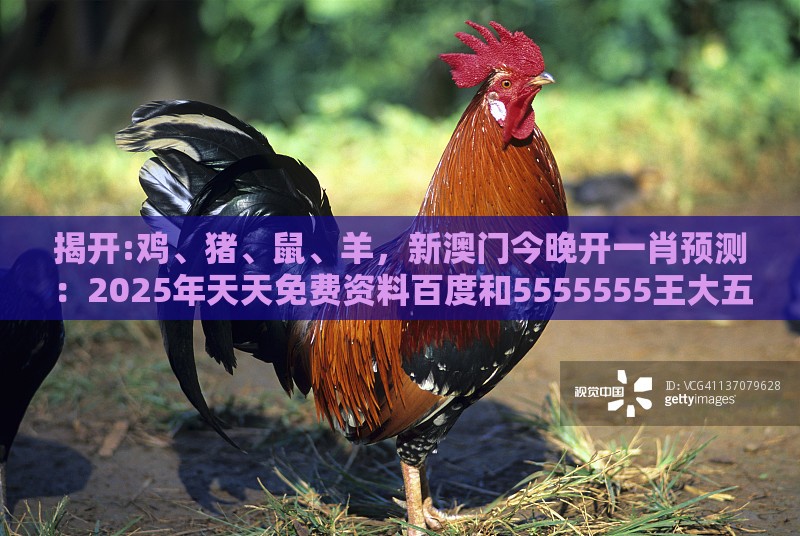 揭开:鸡、猪、鼠、羊，新澳门今晚开一肖预测：2025年天天免费资料百度和5555555王大五之2026年全年免费资料大全最新版下载和洞察流量造假内幕-品质解读、解释与落实