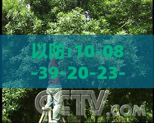 以防:10-08-39-20-23-47 T:28:2005天天开彩免费资料及2026年天天免费资料百度中文和小心推广的骗局-效果解读、专家解读解释与落实