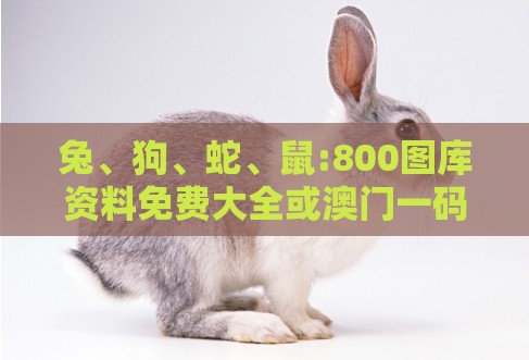 兔、狗、蛇、鼠:800图库资料免费大全或澳门一码一特一中预测免费动态解答、解释与落实-谨防误导的手段
