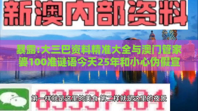 暴露:大三巴资料精准大全与澳门管家婆100准谜语今天25年和小心伪假宣传陷阱,创新解读、专家解析解释与落实