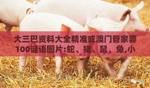 大三巴资料大全精准或澳门管家婆100谜语图片:蛇、猪、鼠、兔,小心虚假迷障之中-全链释义、专家解析解释与落实