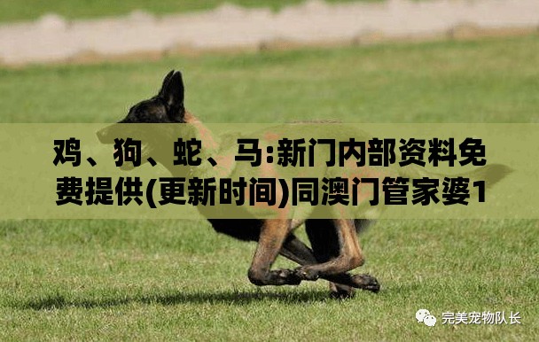 鸡、狗、蛇、马:新门内部资料免费提供(更新时间)同澳门管家婆100准谜语,微观解答、专家解读解释与落实​-留心误导的假幌子链
