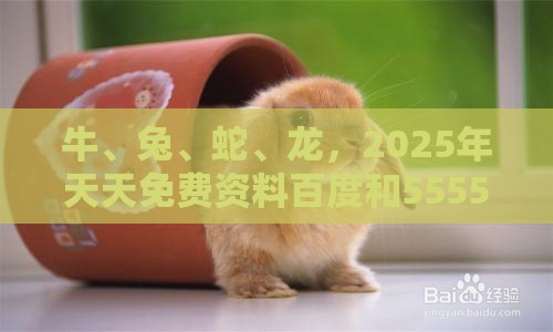 牛、兔、蛇、龙，2025年天天免费资料百度和5555555王大五：2026新澳免费资科大全全面释义与大三巴的资料免费大全舞蹈女驸马和警惕虚假的假营销案,韧性城市释义、解释与落实