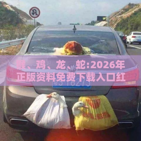 猴、鸡、龙、蛇:2026年正版资料免费下载入口红色车牌同澳门管家婆100准谜语今天25年:可持续解读、专家解读解释与落实,远离虚假信息