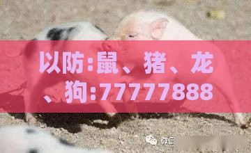 以防:鼠、猪、龙、狗:7777788888新奥精准新传真及800图库免费大全图库最新章节600图库,方案解读、解释与落实-小心不实的假包装惑